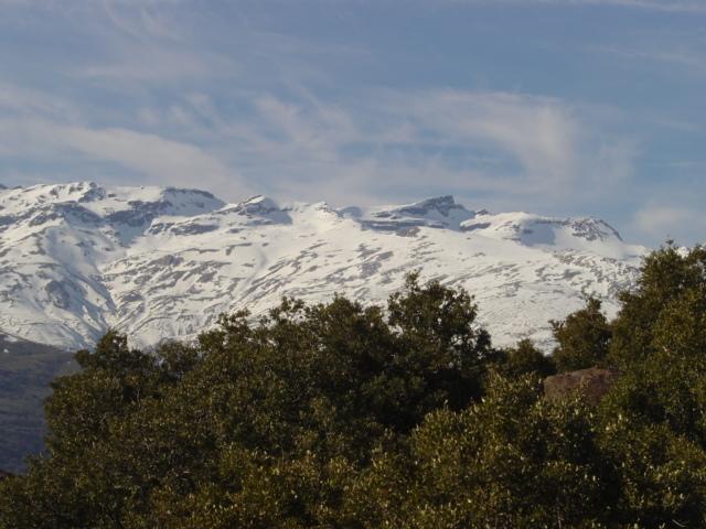 Cortijo Prado Toro Appartement Pitres Buitenkant foto