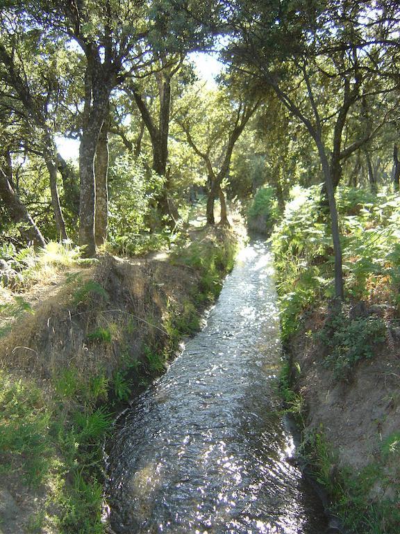 Cortijo Prado Toro Appartement Pitres Buitenkant foto