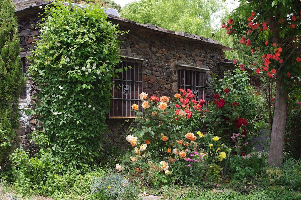 Cortijo Prado Toro Appartement Pitres Buitenkant foto